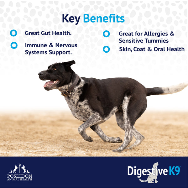 Digestive K9