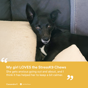 Stress K9 Chews
