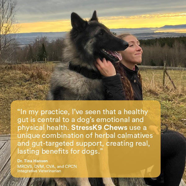 Stress K9 Chews