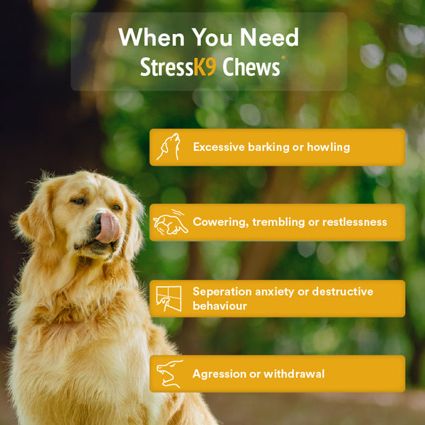 Stress K9 Chews