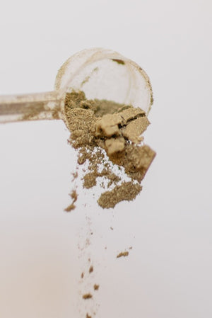 K9 Snack & Support Bundle (Powder)