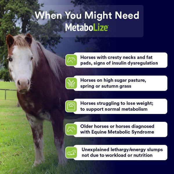 MetaboLize - Poseidon Animal Health