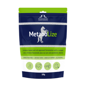 MetaboLize