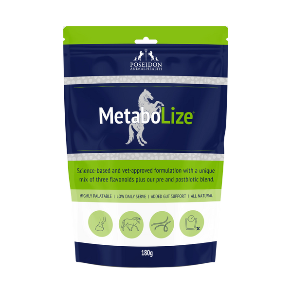 MetaboLize