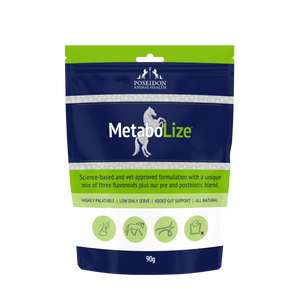 MetaboLize