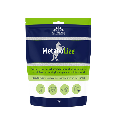 MetaboLize