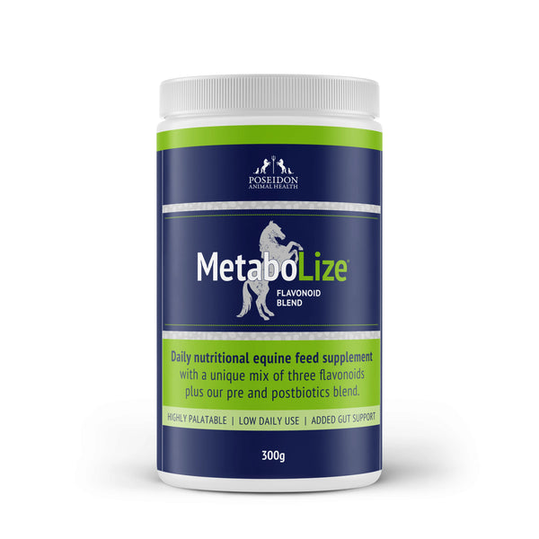 MetaboLize