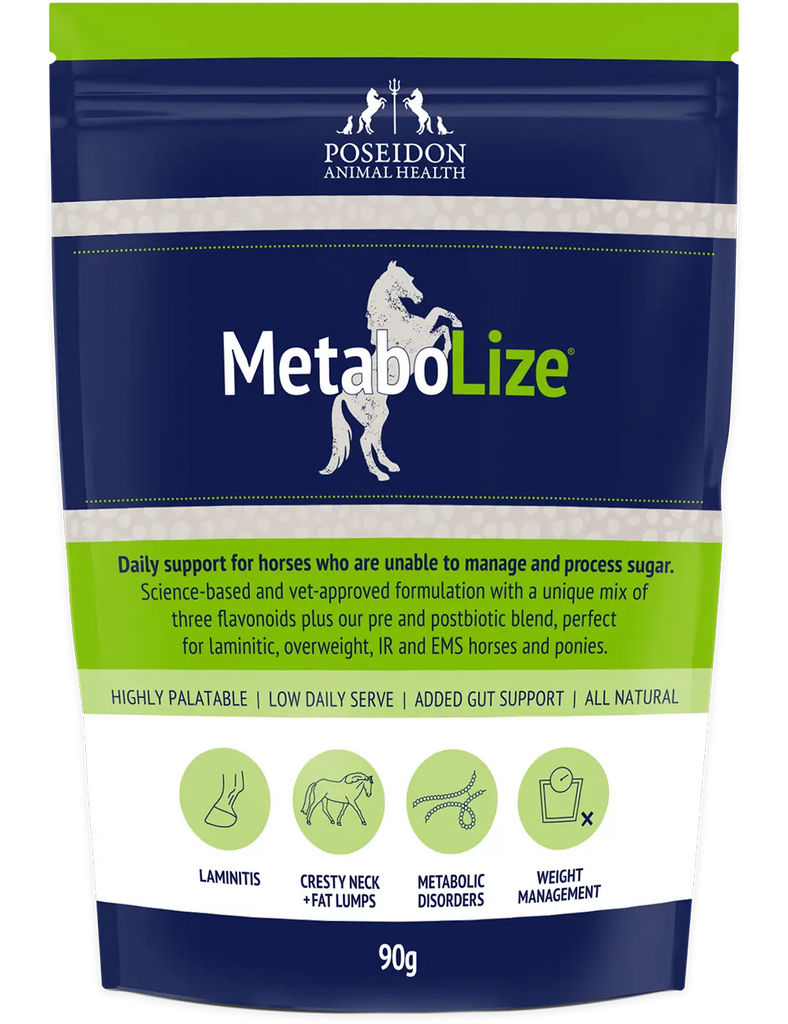 Horse Supplements | Equine Gut Health | Minerals & Vitamins for Horses ...