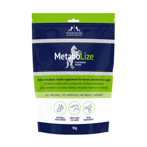 MetaboLize