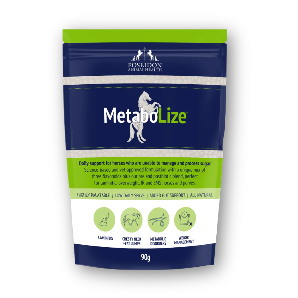 MetaboLize