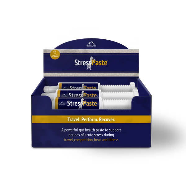 Stress Paste 12 Pack (Wholesale)