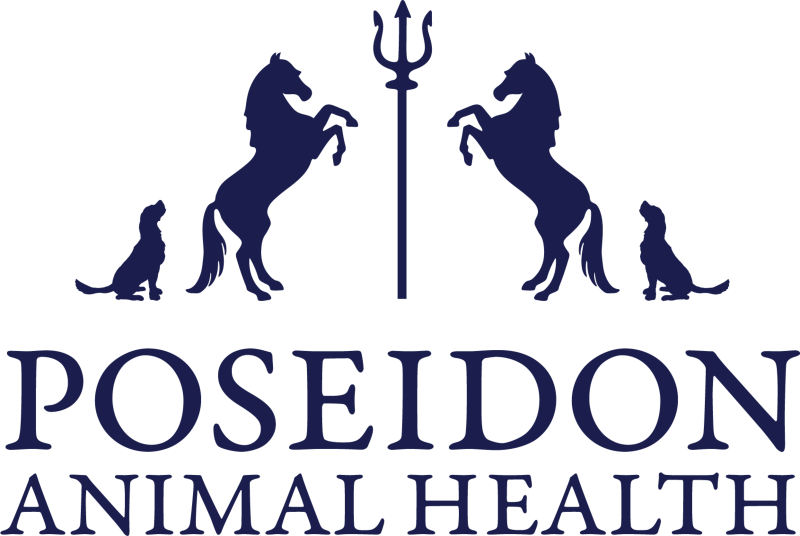 Horse Digestive Supplements | Dog Gut Health | Poseidon ...