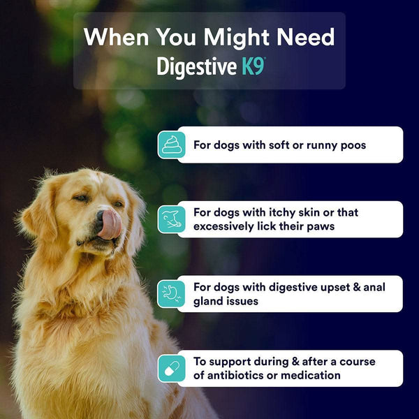 Digestive-K9 Chews - Poseidon Animal Health