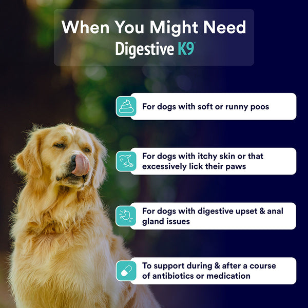 Digestive-K9 Chews