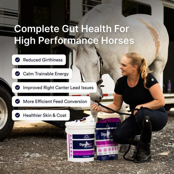 Digestive HP - Poseidon Animal Health