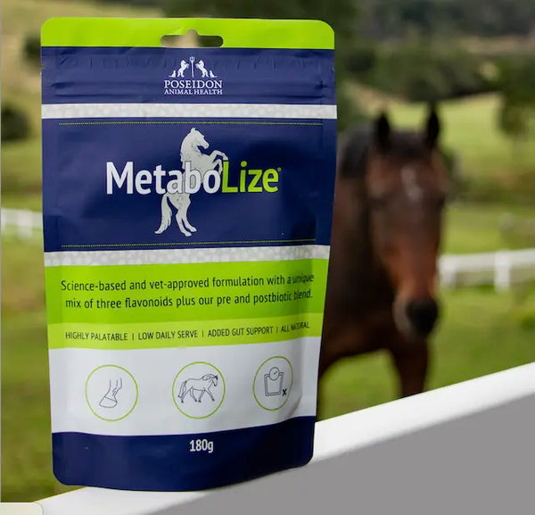 MetaboLize