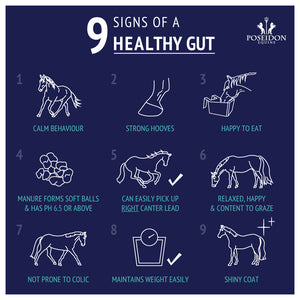 Digestive EQ
