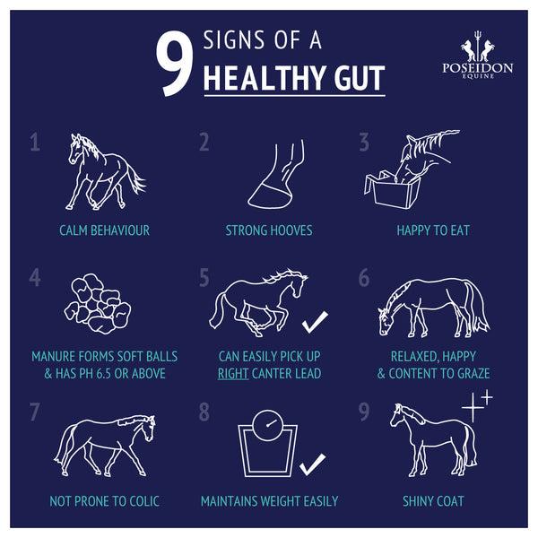 Digestive EQ