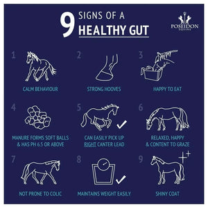 Digestive EQ