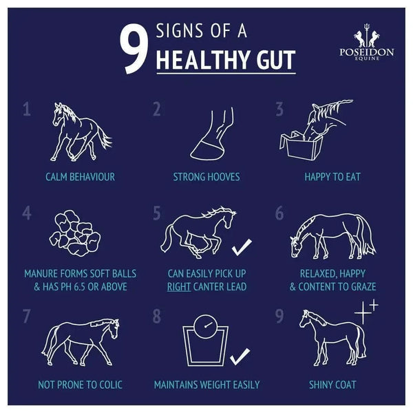 Digestive EQ