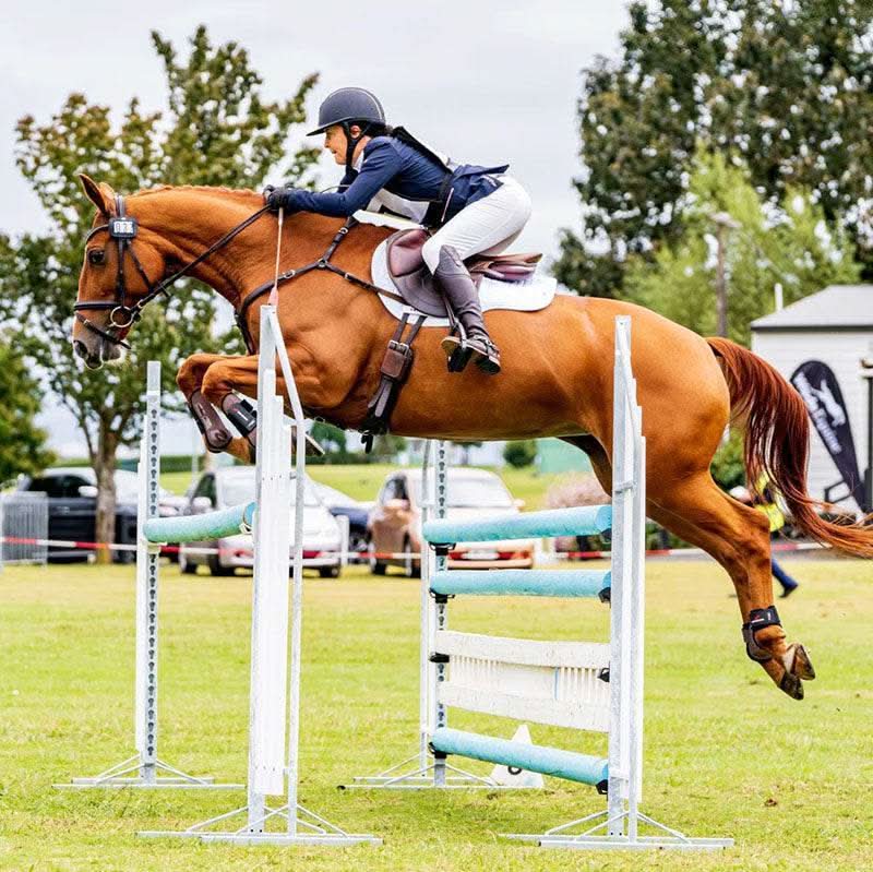 Digestive HP - Poseidon Animal Health