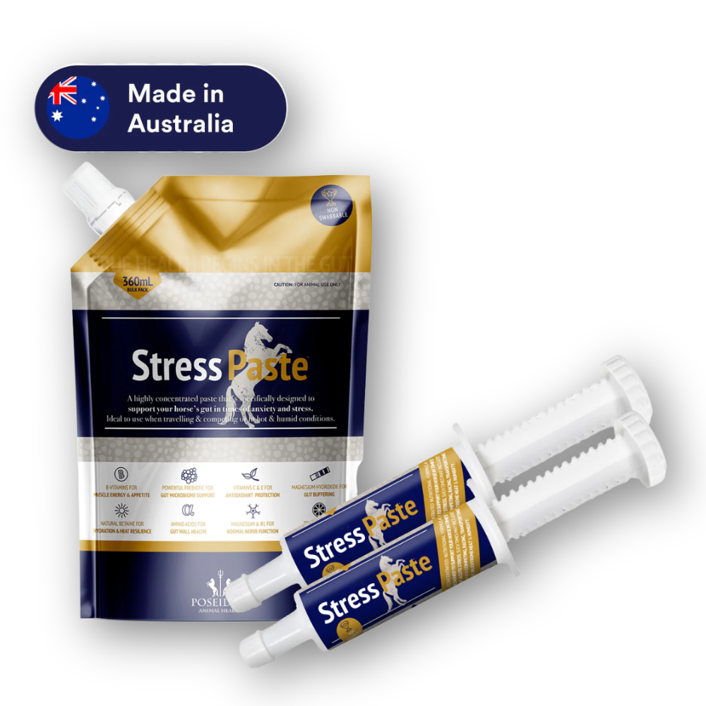 Stress Paste