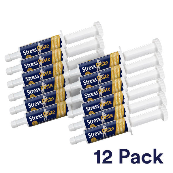 Stress Paste 12 Pack (Wholesale)