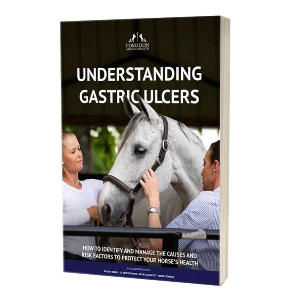 Understanding Gastric Ulcers E Book