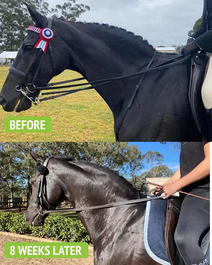 This Is An Exciting Product