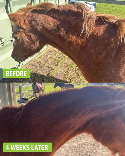 Lost Weight In A Short Period