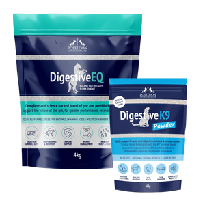 Dog & Horse Gut Care Pack