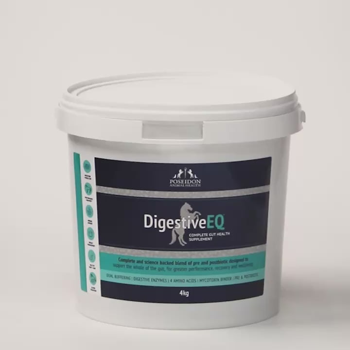 Digestive EQ video