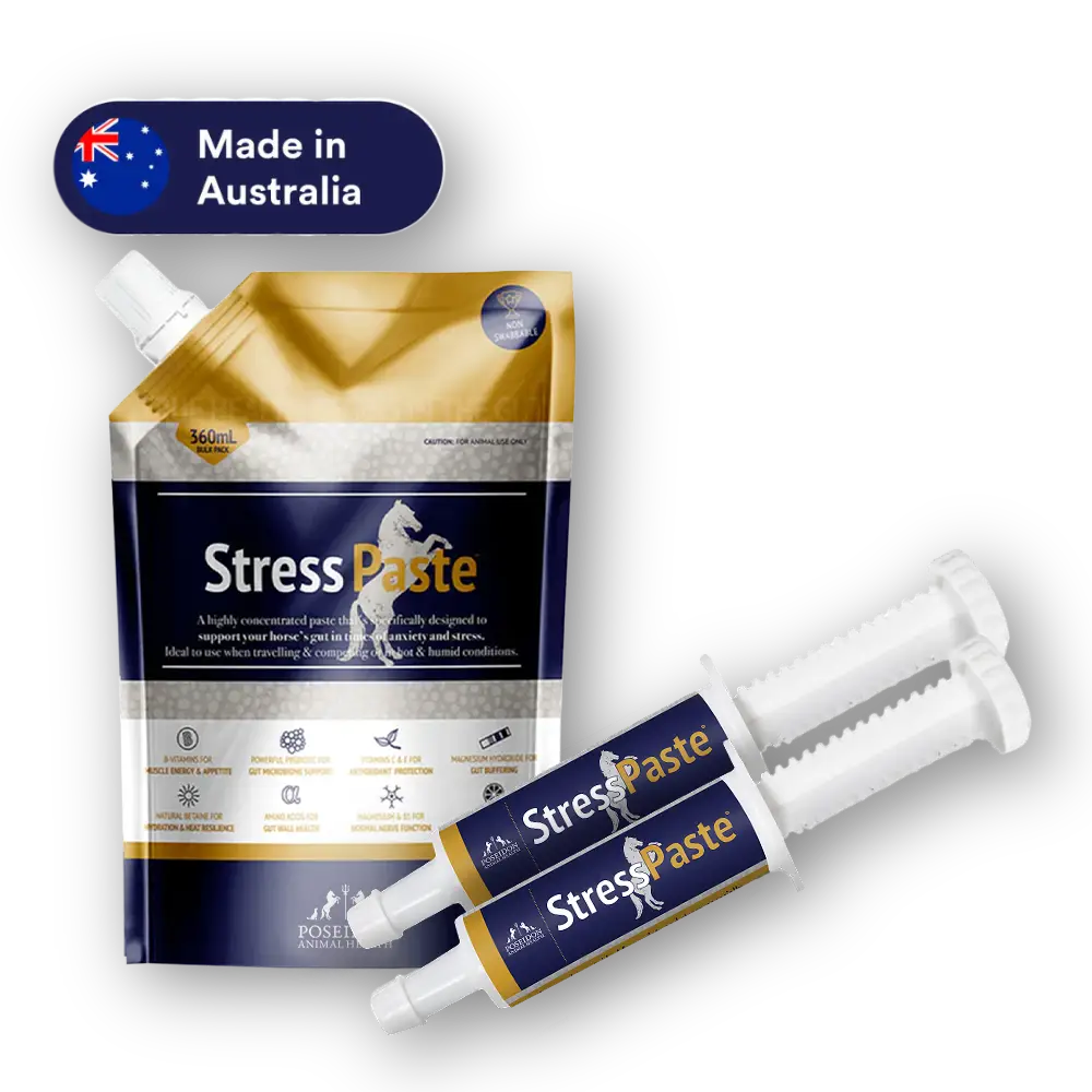 Stress Paste
