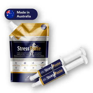 Stress Paste