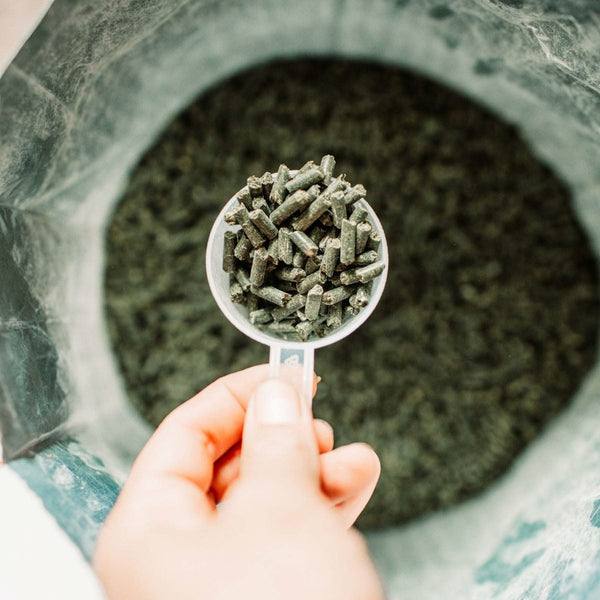 Daily Balance 12KG Bag (Wholesale) - Poseidon Animal Health